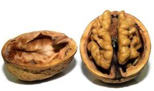 Vlašské ořechy účinky