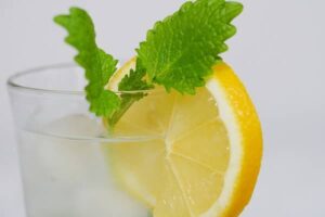 Meduňková limonáda recept