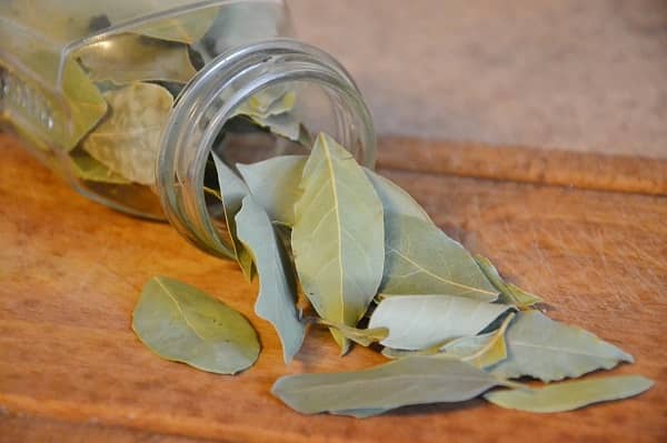 Bobkový list čaj (čaj z bobkového listu)